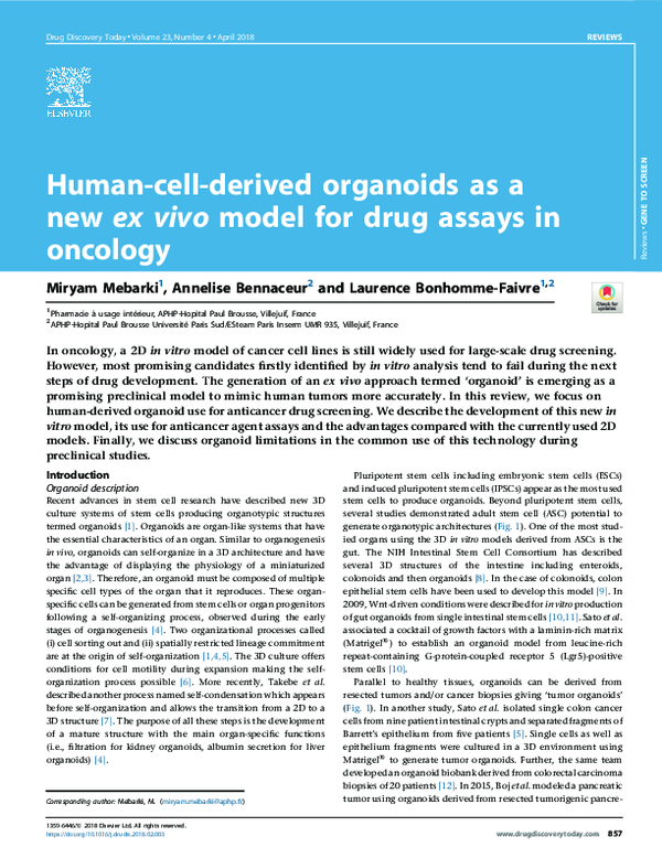 (PDF) Human-cell-derived organoids as a new ex vivo model for drug ...