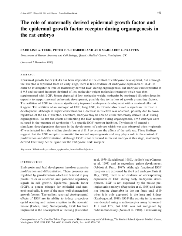 (PDF) The role of maternally derived epidermal growth factor and the ...