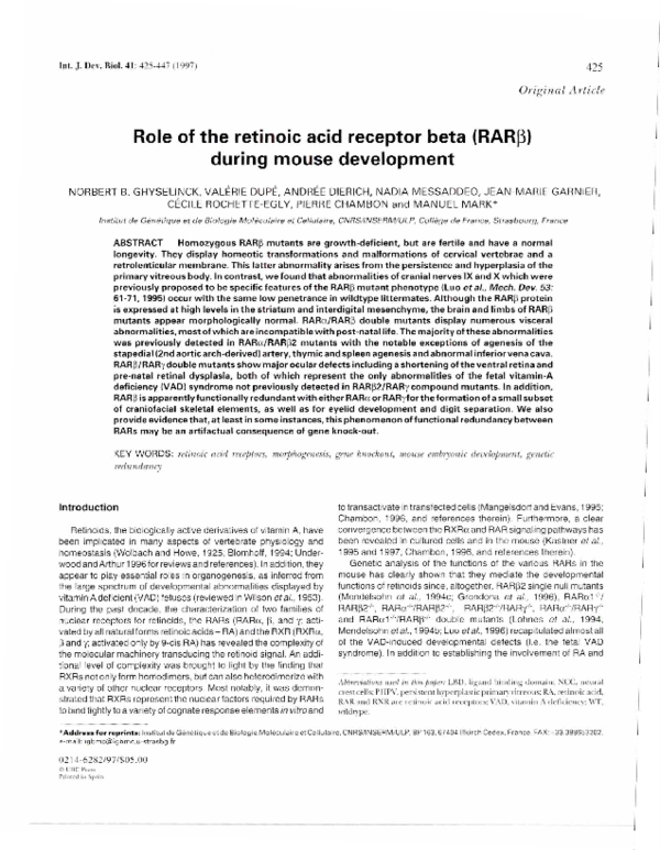 (PDF) Role of the retinoic acid receptor beta (RARbeta) during mouse ...