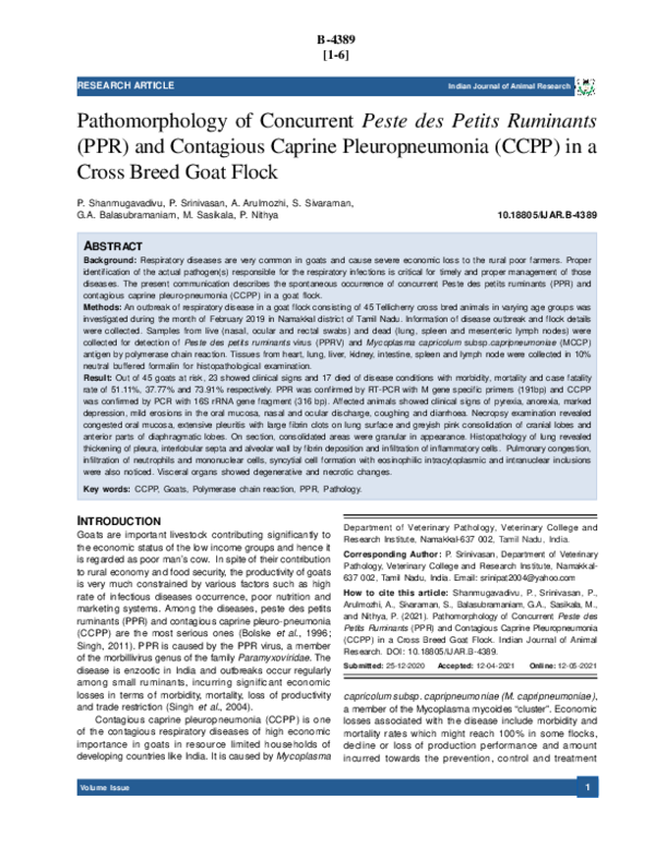 (PDF) Pathomorphology of Concurrent Peste des Petits Ruminants (PPR ...