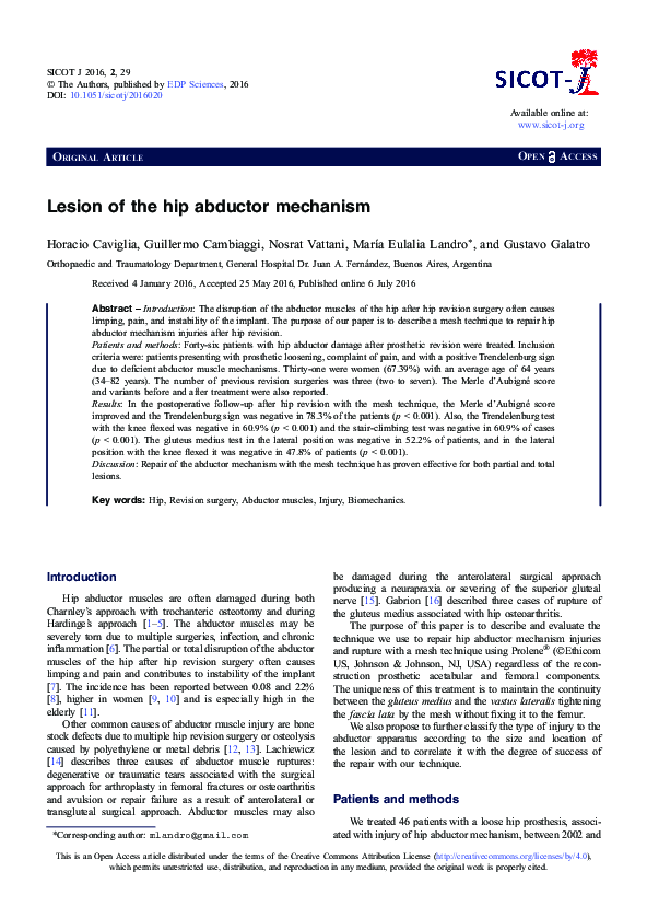 (PDF) Lesion of the hip abductor mechanism H. Caviglia Academia.edu