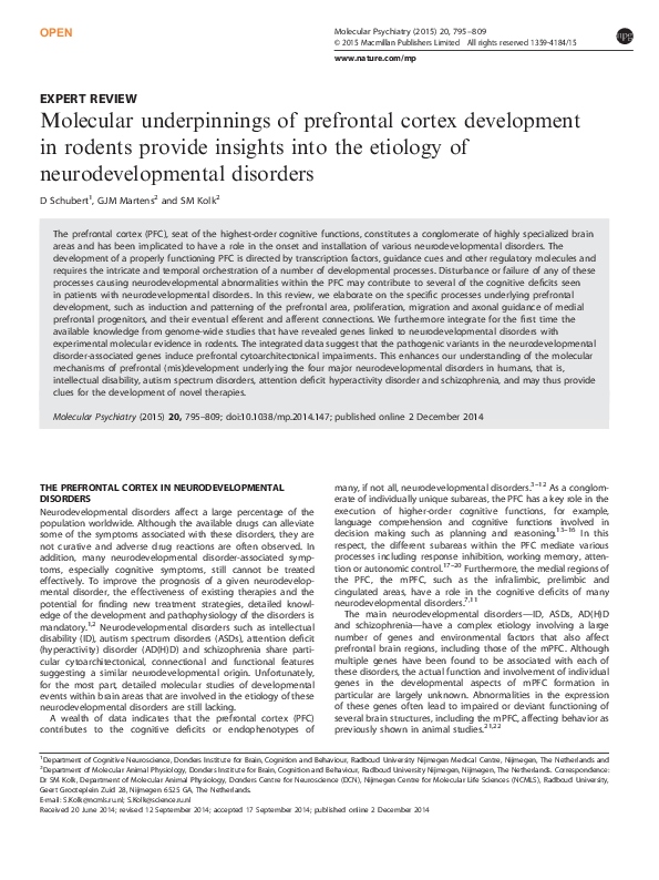 (PDF) Molecular underpinnings of prefrontal cortex development in ...
