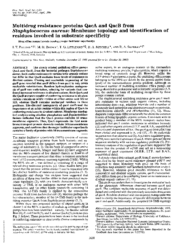 (PDF) Multidrug resistance proteins QacA and QacB from Staphylococcus ...