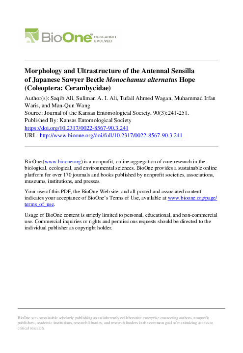 (PDF) Morphology and ultrastructure of antennal sensilla of the ...