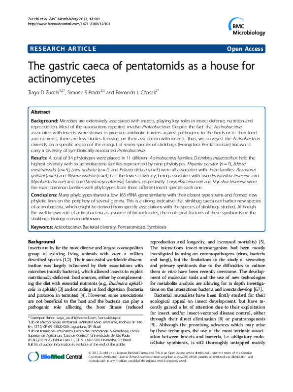 (PDF) The gastric caeca of pentatomids as a house for actinomycetes