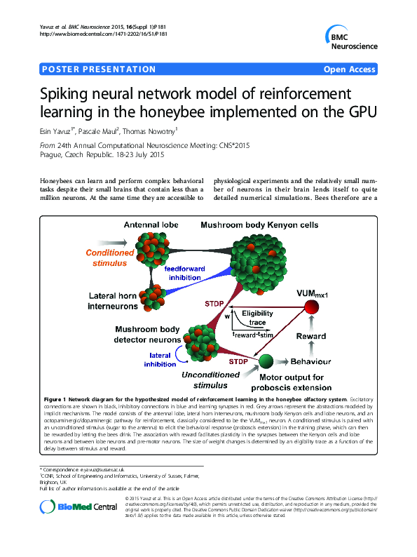 (PDF) Spiking neural network model of reinforcement learning in the ...