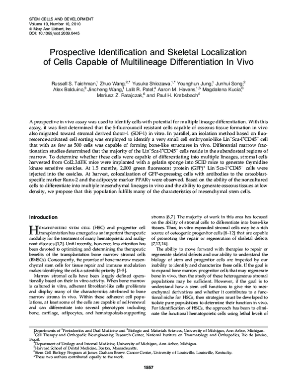 (PDF) Prospective Identification and Skeletal Localization of Cells ...