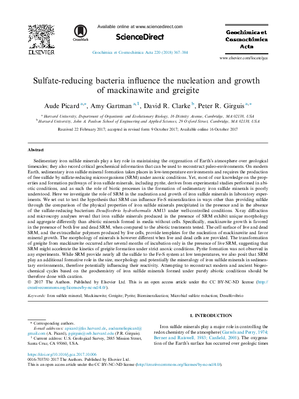 Sulfate-reducing bacteria influence the nucleation and growth of mackinawite and greigite