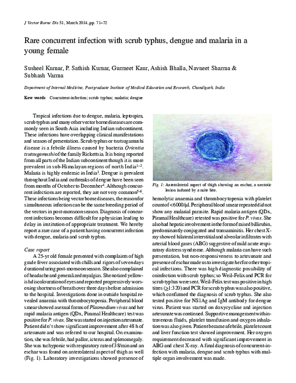 (PDF) Rare concurrent infection with scrub typhus, dengue and malaria ...