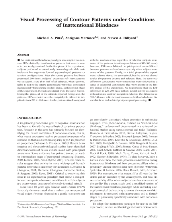 (PDF) Visual Processing of Contour Patterns under Conditions of ...
