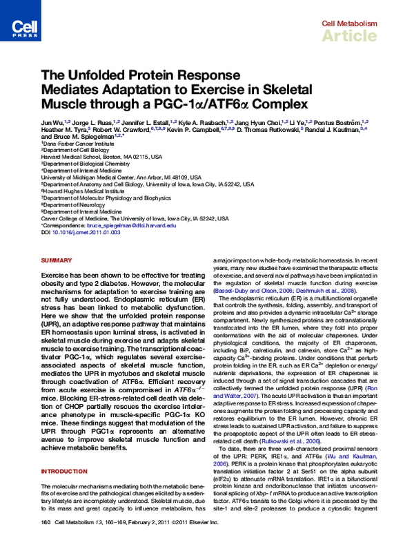 The Unfolded Protein Response Mediates Adaptation to Exercise in Skeletal Muscle through a PGC-1α/ATF6α Complex