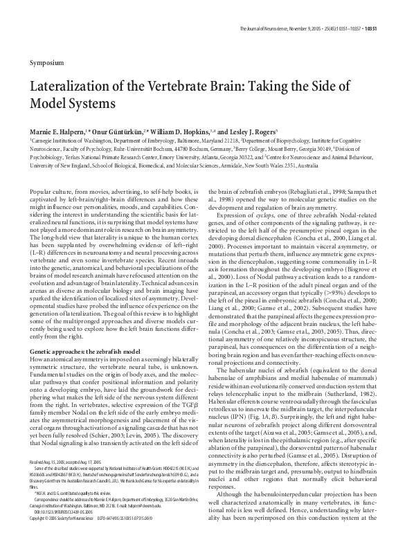 (PDF) Lateralization of the Vertebrate Brain: Taking the Side of Model ...