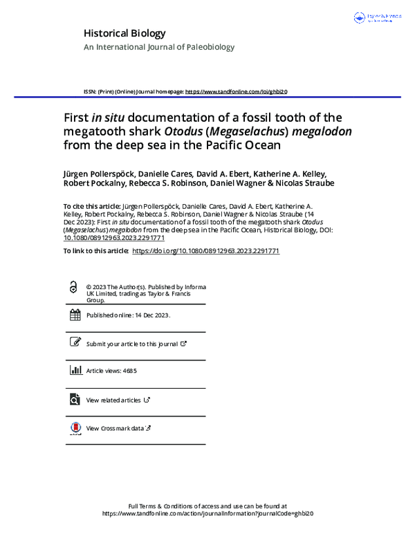 (PDF) First in situ documentation of a fossil tooth of the megatooth ...