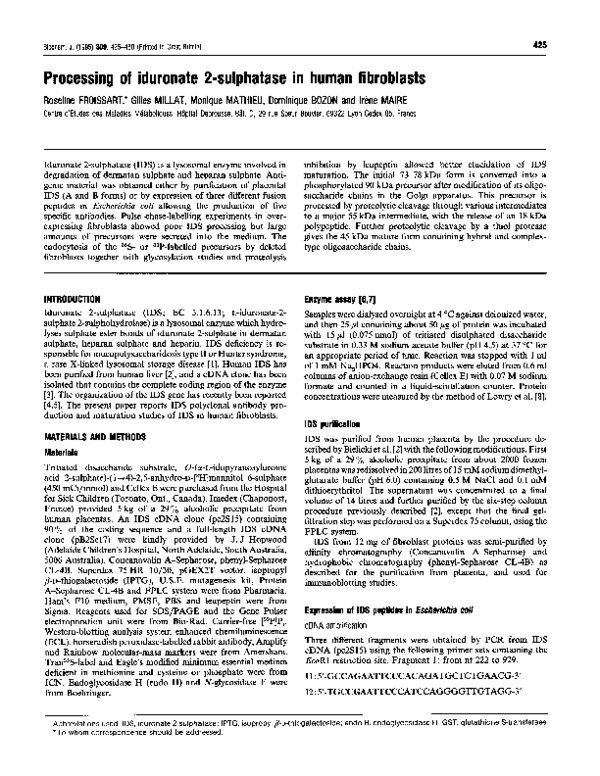 (PDF) Processing of iduronate 2-sulphatase in human fibroblasts
