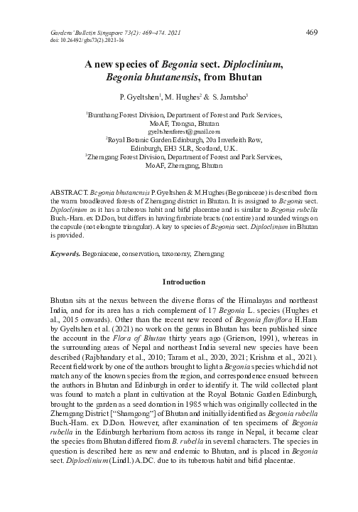 (PDF) A new species of Begonia sect. Diploclinium, Begonia bhutanensis