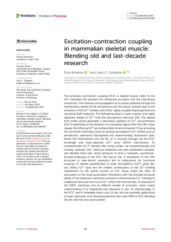(PDF) Excitation-contraction coupling in mammalian skeletal muscle ...