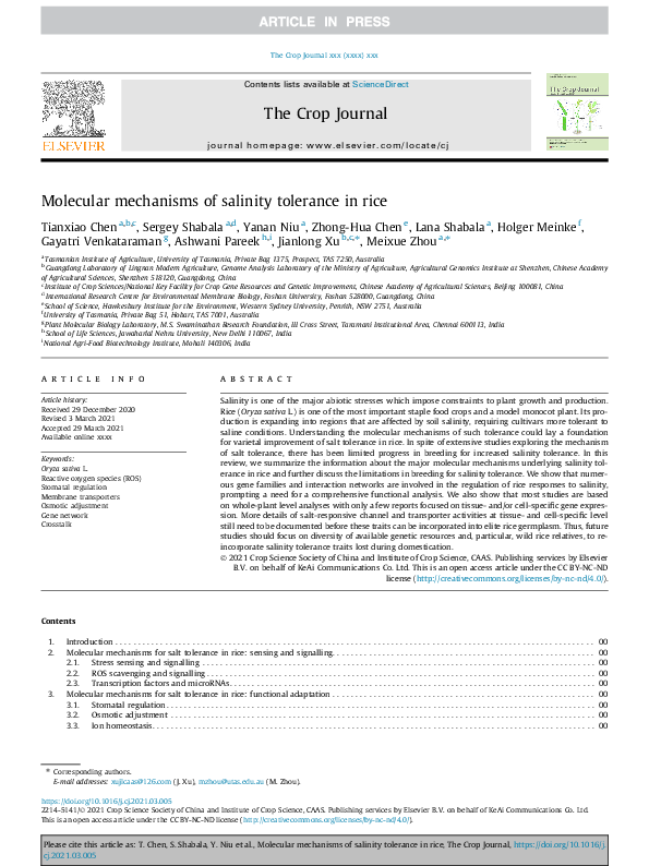 (PDF) Molecular mechanisms of salinity tolerance in rice