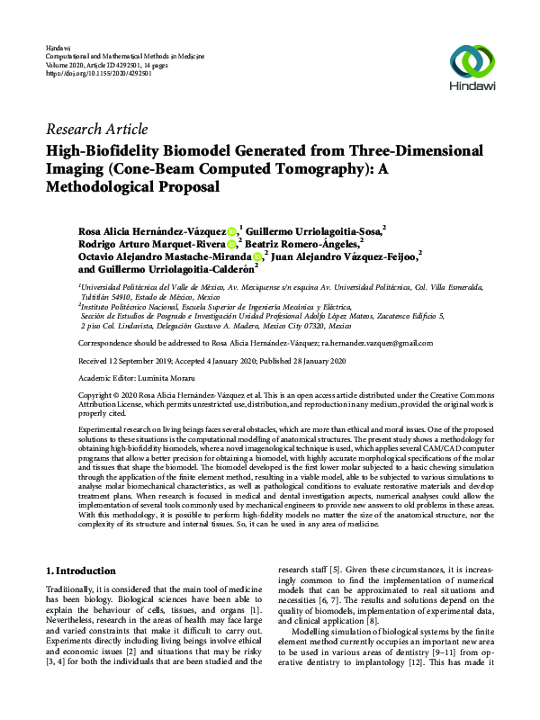 (PDF) High-Biofidelity Biomodel Generated from Three-Dimensional ...