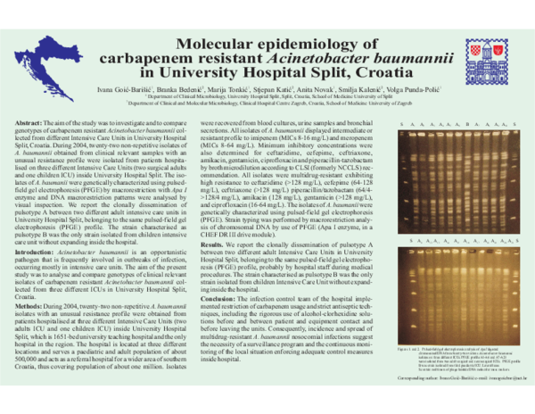 (PDF) Molecular epidemiology of carbapenem resistant Acinetobacter ...