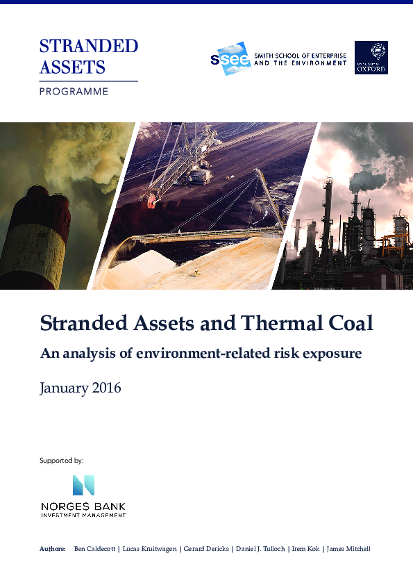 (PDF) Stranded Assets and Thermal Coal: An Analysis of Environment ...