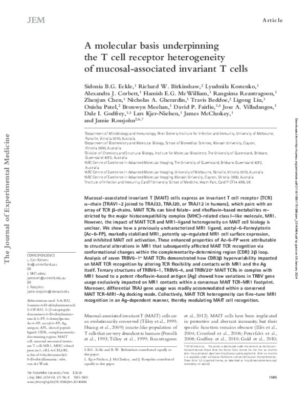 (PDF) A molecular basis underpinning the T cell receptor heterogeneity ...