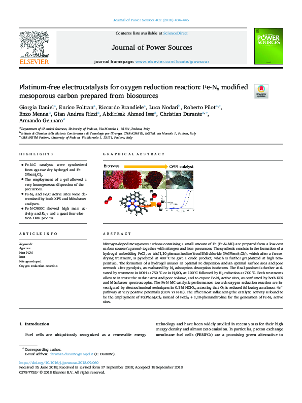 (PDF) Platinum-free electrocatalysts for oxygen reduction reaction: Fe ...