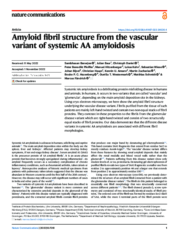 (PDF) Amyloid fibril structure from the vascular variant of systemic AA ...