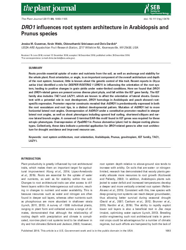 (PDF) DRO1 influences root system architecture in Arabidopsis and ...