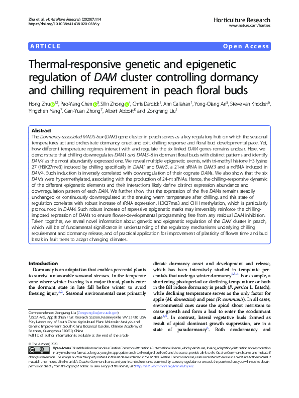 Thermo‐responsive polymers for thermal regulation in electrochemical ...