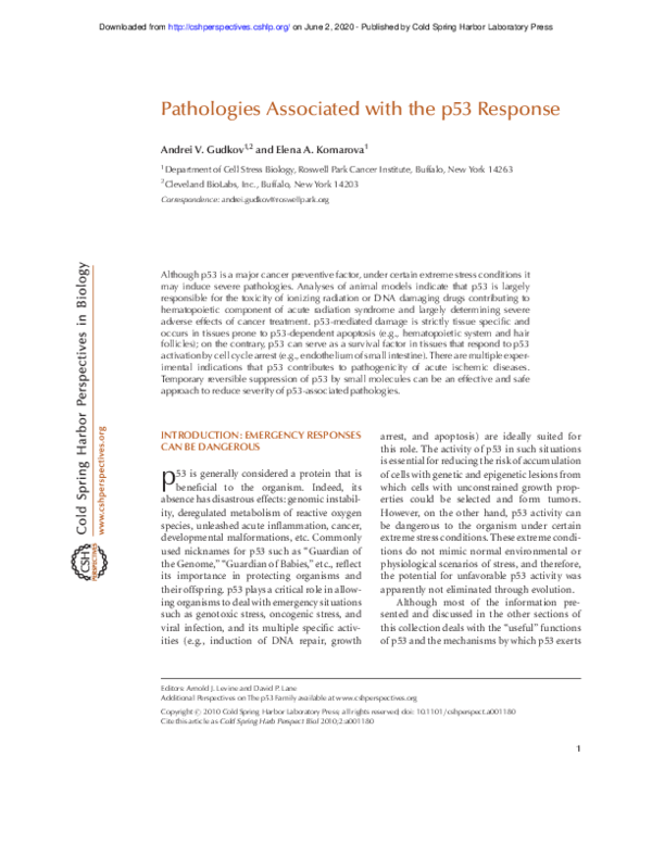 (PDF) Pathologies associated with the p53 response