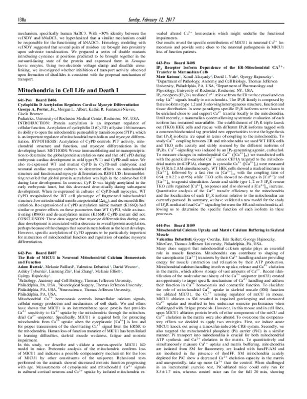 (PDF) The Role of MICU1 in Neuronal Mitochondrial Calcium Homeostasis ...