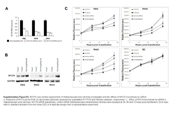 Supplementary Figure 3 from Antitumor Activity of Sustained N-Myc Reduction in Rhabdomyosarcomas and Transcriptional Block by Antigene Therapy
