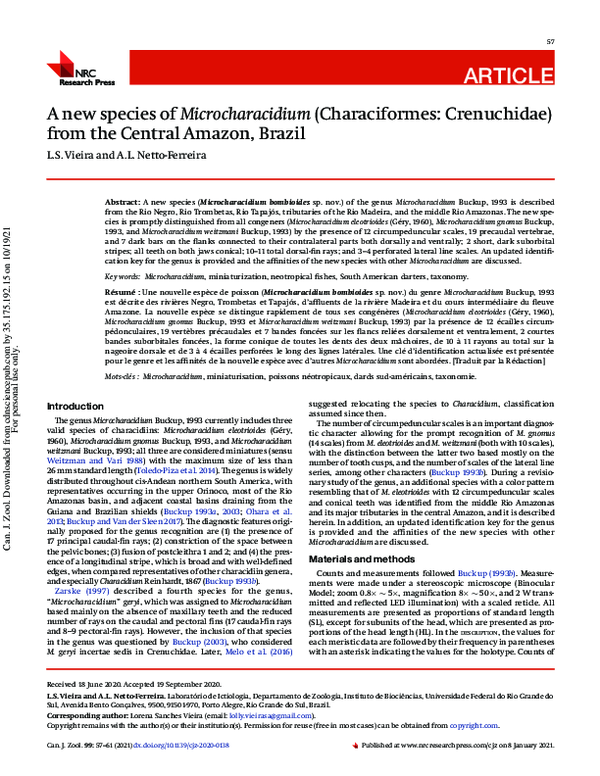 (PDF) A new species of Microcharacidium (Characiformes: Crenuchidae ...