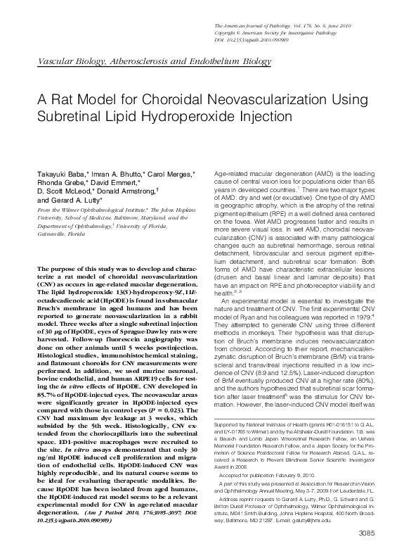 (PDF) A Rat Model for Choroidal Neovascularization Using Subretinal ...