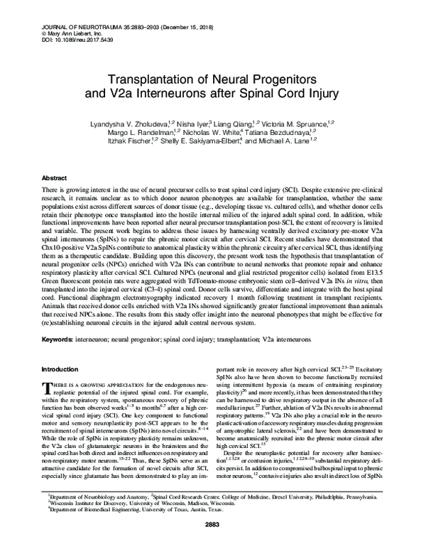 (PDF) Transplantation of Neural Progenitors and V2a Interneurons after ...