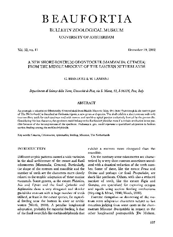 (PDF) A new short-rostrum odontocete (Mammalia: Cetacea) from the ...