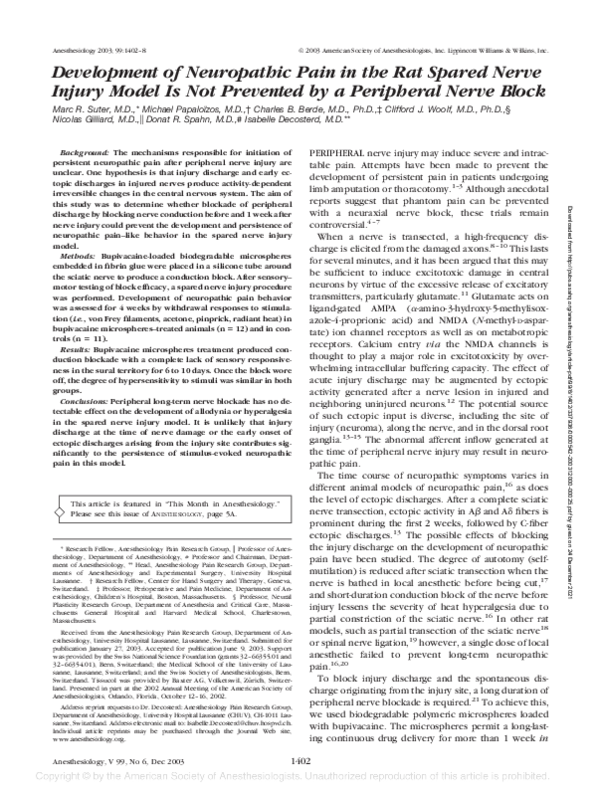(PDF) Development of Neuropathic Pain in the Rat Spared Nerve Injury ...