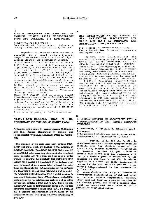 Newly-synthesized RNA in the perfusate of the squid giant axon