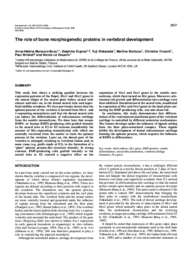 (PDF) The role of bone morphogenetic proteins in vertebral development