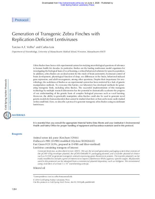 (PDF) Generation of transgenic zebra finches with replication-deficient ...
