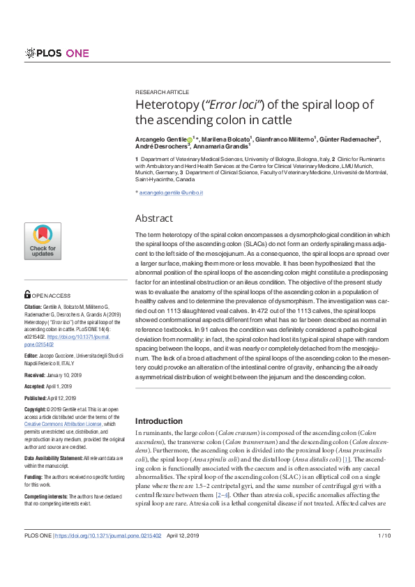 (PDF) Heterotopy (