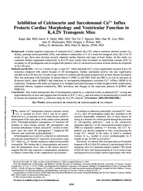 (PDF) Protects Cardiac Morphology and Ventricular Function in