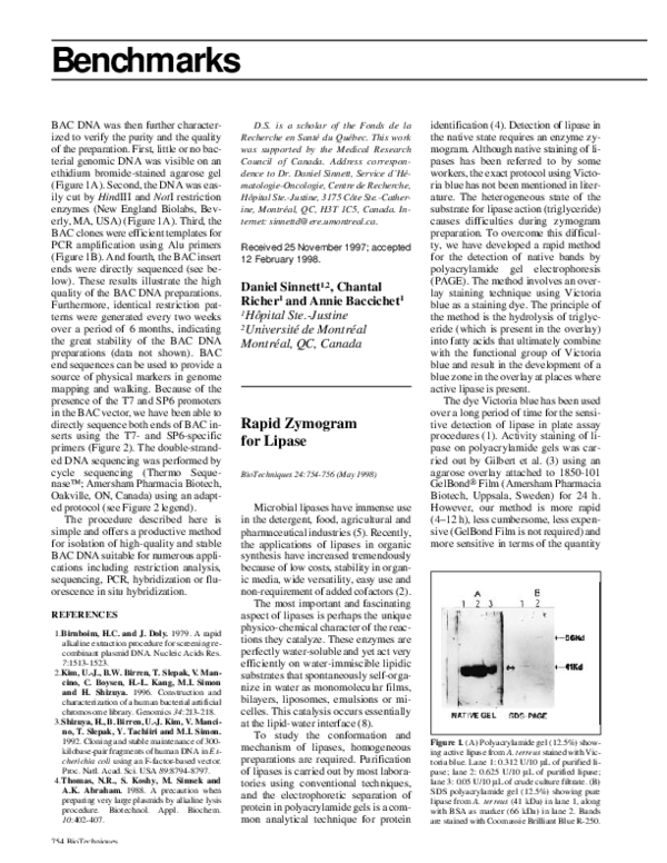 (PDF) Rapid Zymogram for Lipase