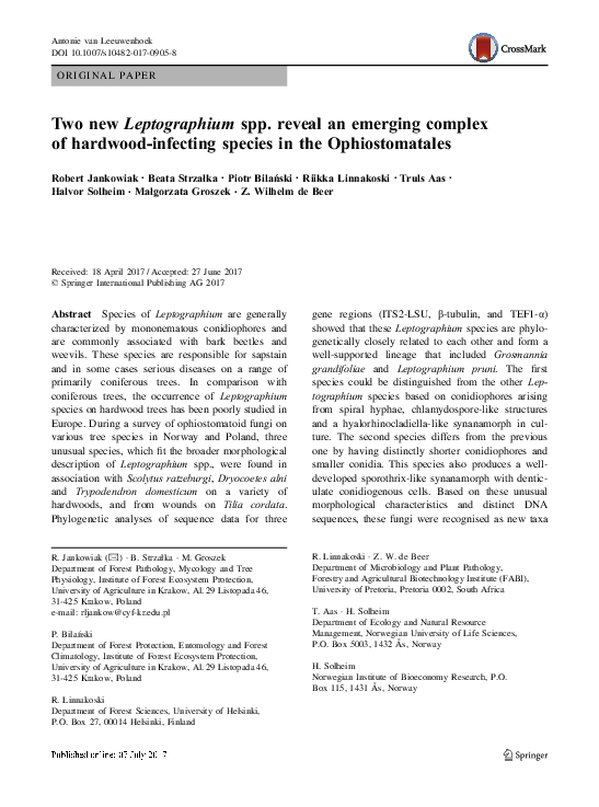 (PDF) Two new Leptographium spp. reveal an emerging complex of hardwood ...