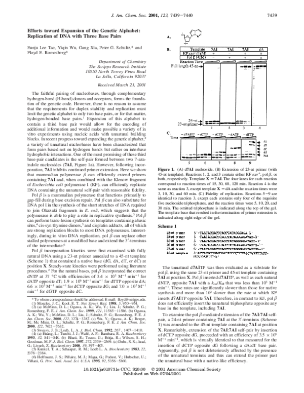 Efforts toward Expansion of the Genetic Alphabet:  Replication of DNA with Three Base Pairs