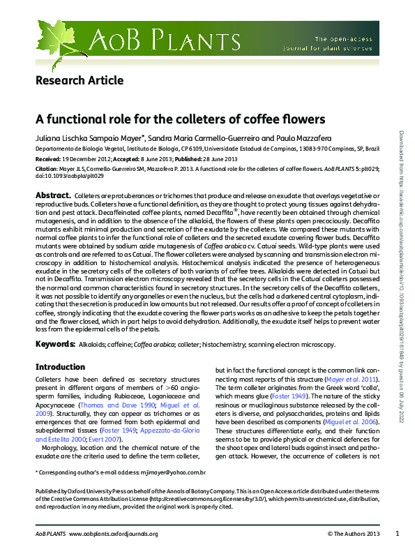 (PDF) A functional role for the colleters of coffee flowers