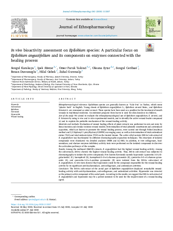 (PDF) In vivo bioactivity assessment on Epilobium species: A particular ...