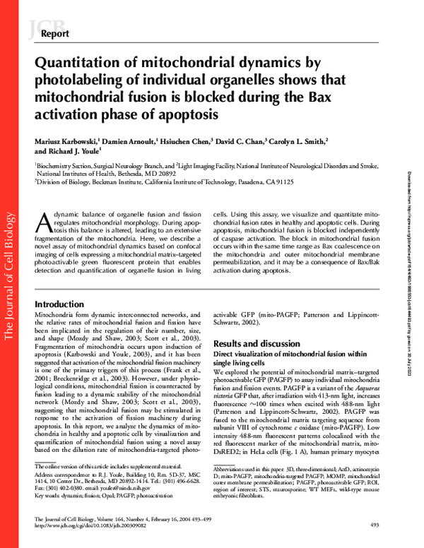(PDF) Quantitation of mitochondrial dynamics by photolabeling of ...