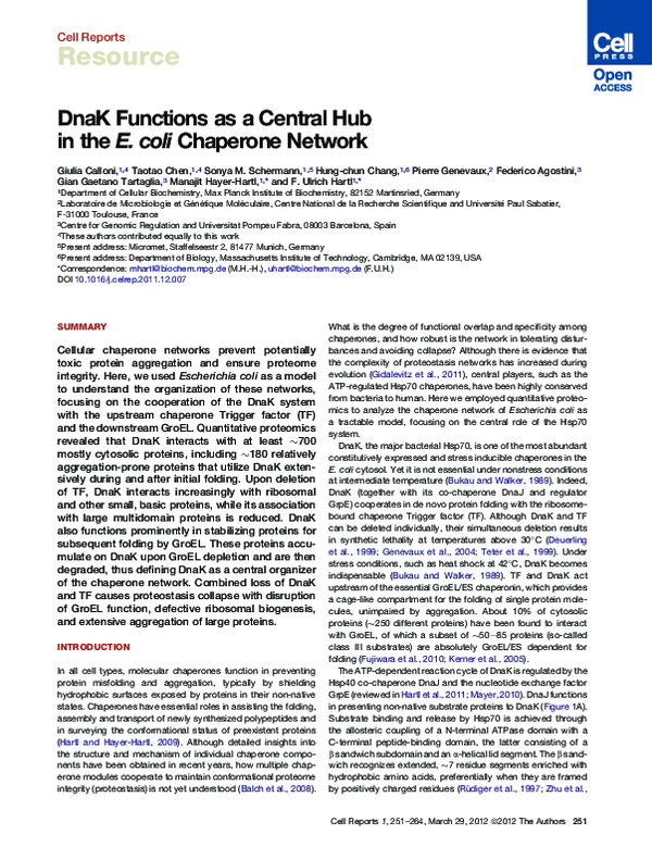 (PDF) DnaK Functions as a Central Hub in the E. coli Chaperone Network
