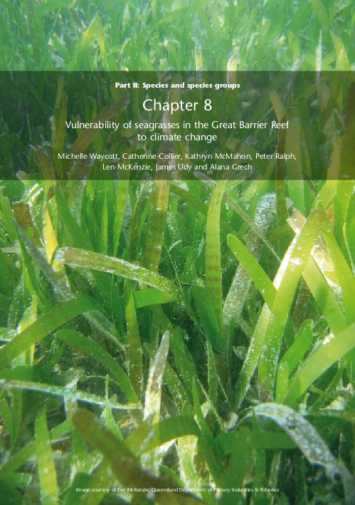 (PDF) Chapter 08: Vulnerability of seagrasses in the Great Barrier Reef ...
